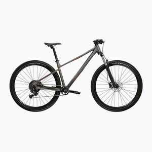 Hegyi kerékpár KROSS Level X100 grey/brown/matte (Level X100 KRLVX129X15U010098) kép