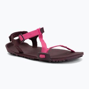 Női barefoot szandál Xero Shoes Z-Trail EV fuchsia purple (Z-Trail EV TTW-FSPU) kép