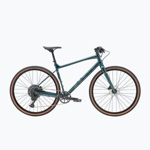 Gravel kerékpár Marin DSX 1 700C green/silver (DSX 1 700C 740692003) kép