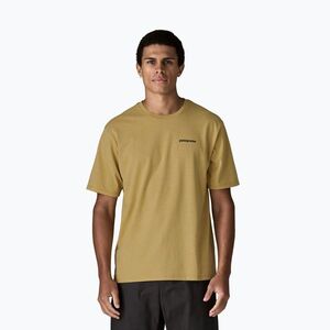 Férfi póló Patagonia Flying Fish Responsibili Tee limestone yellow/heritage fitz (Flying Fish Responsibili Tee 37598) kép