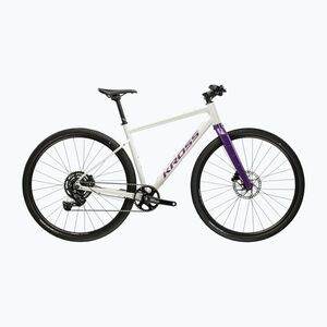 Gravel kerékpár KROSS Esker 1.0 FL grey/purple/gloss (Esker 1.0 FL KREK1F28X17M009293) kép