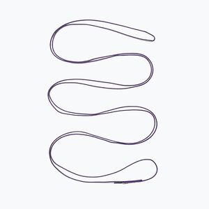 Mászókötél Black Diamond Dynex Runner 10 mm purple (Dynex Runner 10 mm BD3801195000ALL1) kép