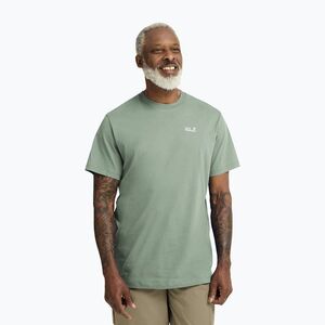 Férfi póló Jack Wolfskin Essential green zinnia (Essential A65917_E0272) kép