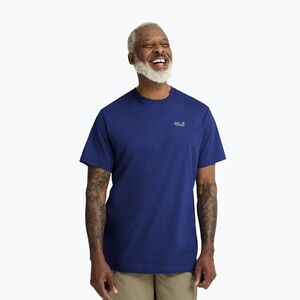 Férfi póló Jack Wolfskin Essential blue orchid (Essential A65917_C0631) kép