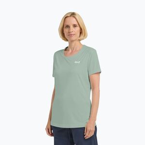 Női túrapóló Jack Wolfskin Tech T green zinnia (Tech T A63294_E0272) kép