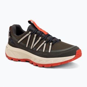 Férfi túracipő Jack Wolfskin Wild Hike Texapore Low obsidian moss (Wild Hike Texapore Low A65577_E0205) kép