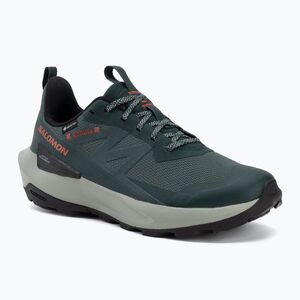 Férfi túracipő Salomon Elixir Activ GTX scarab/green gable (Elixir Activ GTX L49229800) kép