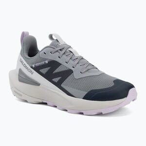 Női túracipő Salomon Elixir Activ GTX shskin/glacier gray/opetal (Elixir Activ L47457500) kép