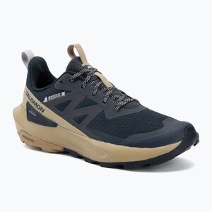 Férfi túracipő Salomon Elixir Activ carbon/slate green/glacier (Elixir Activ L47455300) kép