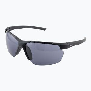 Napszemüveg Alpina Defey HR black matte/black (Defey HR A8657432) kép