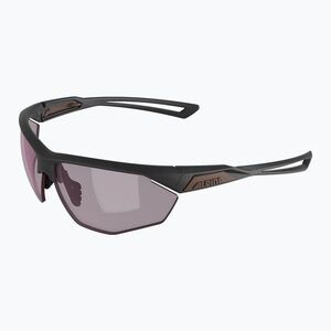 Napszemüveg Alpina Nylos HR gun matt/pink (Nylos HR A8635421) kép