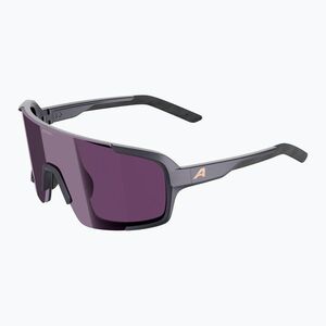 Napszemüveg Alpina Lumin gun/metallic matte/pink (Lumin A8767321) kép