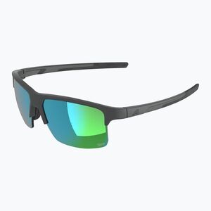 Napszemüveg Alpina Eagle Q-Lite midnight/grey matt/green (Eagle Q-Lite A8770021) kép