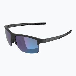 Napszemüveg Alpina Eagle Q-Lite lack matt/blue mirror (Eagle Q-Lite A8770033) kép