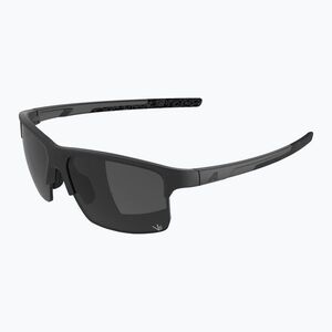 Napszemüveg Alpina Eagle Q-Lite black matte/silver mirror (Eagle Q-Lite A8770031) kép
