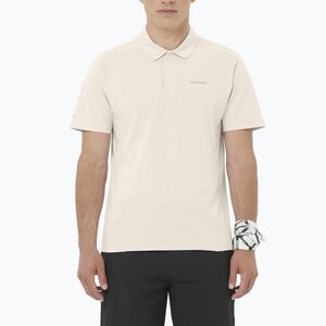 Férfi pólóing Salomon Trackline Polo silver cloud (Trackline Polo LC2745700) kép