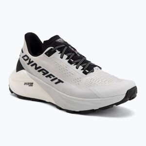 Férfi futócipő DYNAFIT Ultra 100 V3 nimbus/black out (Ultra 100 V3 08-0000064117) kép
