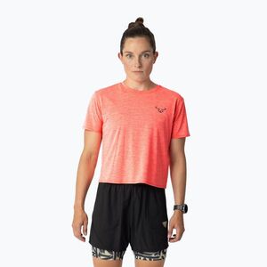 Női futópóló DYNAFIT Trail ultra coral (Trail 08-0000071915) kép