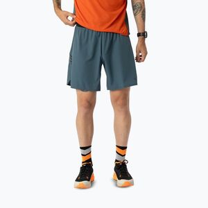 Férfi futóshort DYNAFIT Alpine cinder (Alpine 08-0000071645) kép