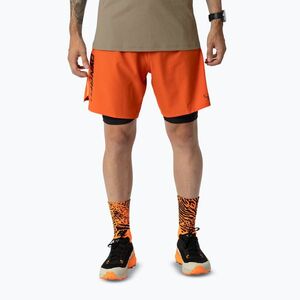 Férfi futóshort DYNAFIT Alpine Pro 2IN1 alabama (Alpine Pro 2IN1 08-0000071642) kép