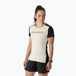Női futópóló DYNAFIT Alpine 2 Tee overcast (Alpine 2 Tee 08-0000071457) kép