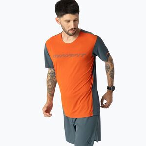 Férfi futópóló DYNAFIT Alpine 2 Alabama (Alpine 2 08-0000071456) kép