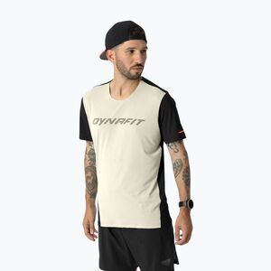 Férfi futópóló DYNAFIT Alpine 2 overcast (Alpine 2 08-0000071456) kép