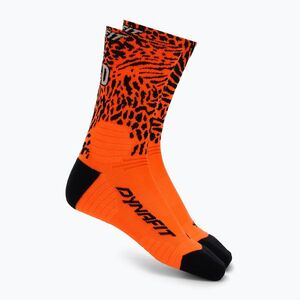 Zokni DYNAFIT Run Wild Crew ultra orange (Run Wild Crew 08-0000072081) kép