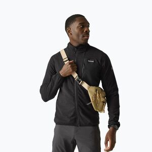 Férfi polár pulóver REGATTA Fleece Scaris ash (Fleece Scaris RMA685-61I) kép