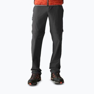 Férfi túranadrág REGATTA Anti Insect Travel Light ash (Highton II RMJ362-61I) kép