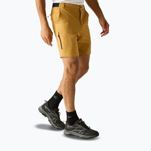 Férfi trekking rövidnadrág REGATTA Anti Insect Travel Light wood brown (Anti Insect Travel Light RMJ360-ZIQ) kép