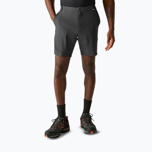 Férfi trekking rövidnadrág REGATTA Anti Insect Travel Light ash (Anti Insect Travel Light RMJ360-61I) kép