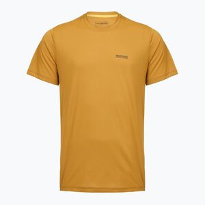 Férfi túrapóló REGATTA Mindoi Anti Insect wood brown (Mindoi Anti Insect RMT347-ZIQ) kép