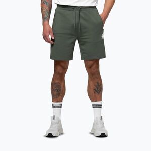 Férfi rövidnadrág Pitbull Nugget Small Logo sage green (Nugget Small Logo 315045382001) kép