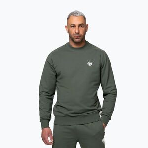 Férfi pulóver Pitbull Nugget Small Logo Crewneck sage green (Nugget Small Logo 115060382001) kép