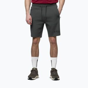 Férfi rövidnadrág Pitbull Sampson grey/green (Sampson 315042383001) kép