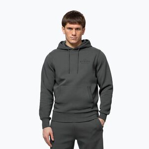 Férfi pulóver Pitbull Sampson Hooded Sweatshirt grey/green (Sampson Hooded Sweatshirt 125041383001) kép