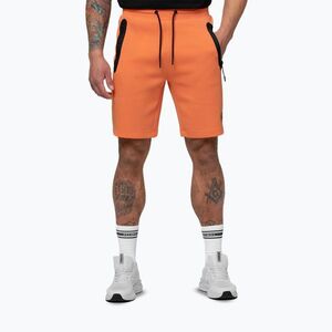 Férfi rövidnadrág Pitbull Dogwood Sport fluo orange (Dogwood Sport 315040630001) kép