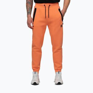 Férfi nadrág Pitbull Dogwood Track fluo orange (Dogwood Track 165040630001) kép
