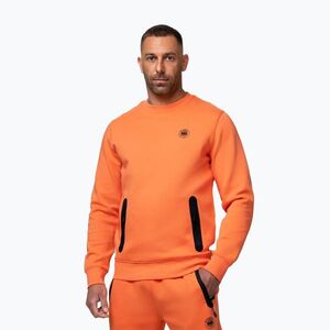 Férfi pulóver Pitbull Dogwood Crewneck Sweatshirt fluo orange (Dogwood Crewneck Sweatshirt 115040630001) kép