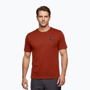 Férfi póló Alpinus Otago pepper (Otago JI35334) kép