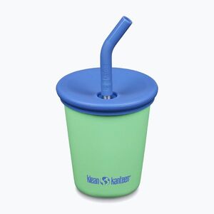 Bögre KLEAN KANTEEN Steel Straw Lid 296 ml spring bud (Steel Straw Lid 1011220) kép