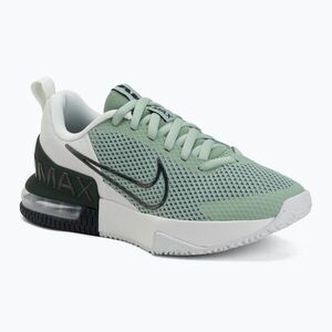 Férfi edzőcipő Nike Air Max Alpha Trainer 6 steam/spruce aura/off white/black spruce (Air Max Alpha Trainer 6 FQ1833-015) kép