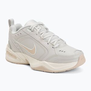 Férfi edzőcipő Nike Air Monarch IV light bone/spruce aura/sanddrift (Air Monarch IV 415445-004) kép