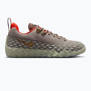 Férfi kosárlabda cipő Nike S.T. Flare 2 college grey/volt tint/metallic gold (S.T. Flare 2 IO8063-001) kép
