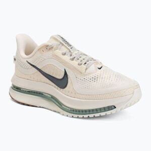 Férfi futócipő Nike Pegasus Premium Pale ivory/jade horizon/black spruce (Pegasus Premium HQ2592-106) kép