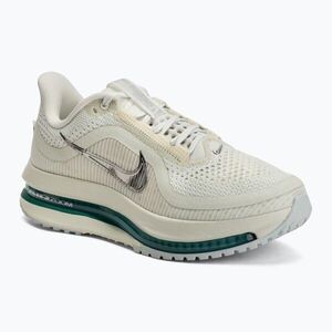 Női futócipő Nike Pegasus Premium sea glass/malachite/metallic silver (Pegasus Premium HQ2593-008) kép