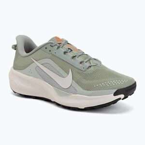 Férfi futócipő Nike ACG Pegasus Trail jade horizon/light silver/phantom (ACG Pegasus Trail HV8116-310) kép
