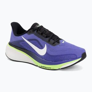 Férfi futócipő Nike Pegasus 42 sapphire/lapis/lime blast/summit white (Pegasus 42 IB1873-500) kép