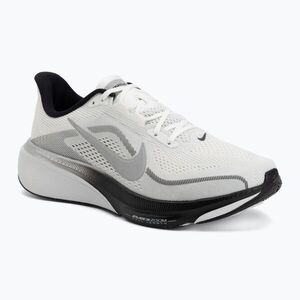 Férfi futócipők Nike Pegasus 42 summit white/metallic silver-photon dust (Pegasus 42 II7210-100) kép